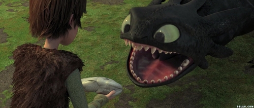 Hiccup-Toothless-how-to-train-your-dragon-9626254-500-213